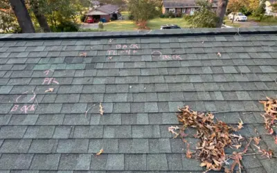 The Cost of Ignoring Roof Repairs: What Homeowners Need to Know